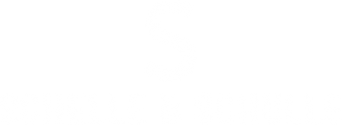 Schelle & Schulle GmbH Logo